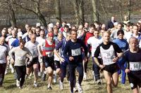 Prvelb 2004